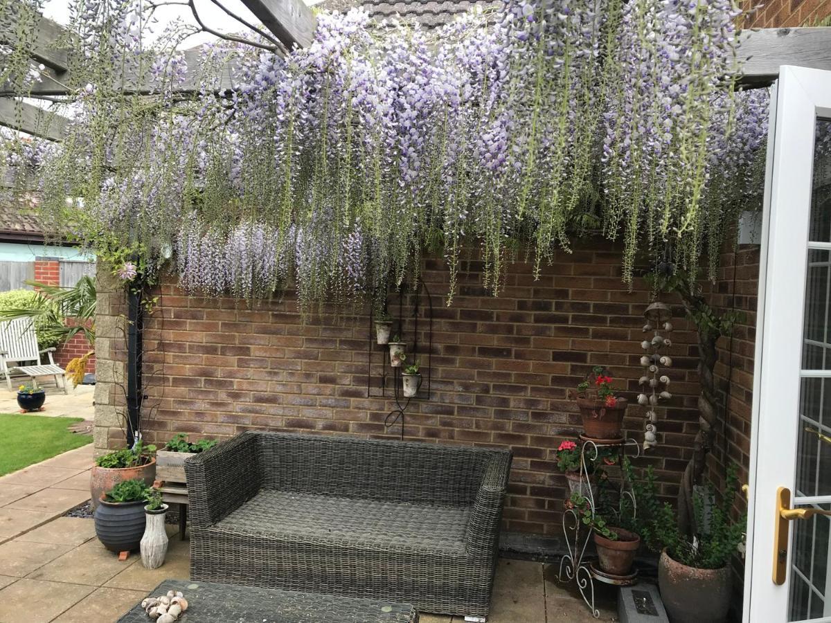 Bub Lane Cottage ไครสต์เชิร์ช ภายนอก รูปภาพ